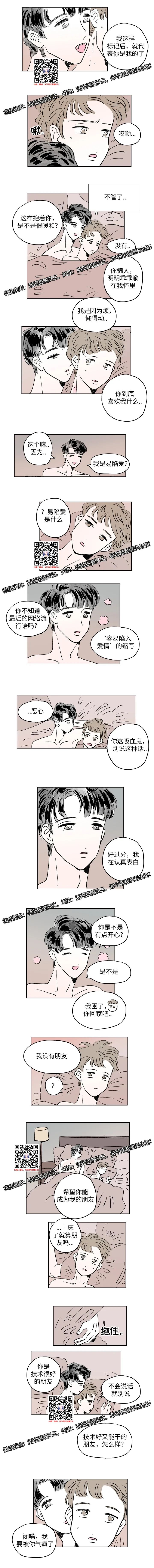 章节图片