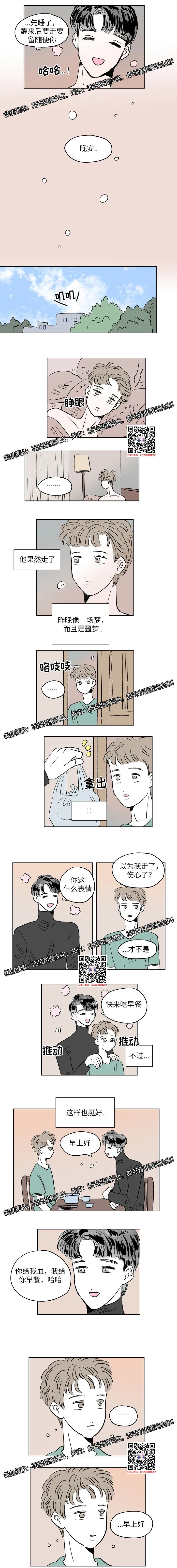 章节图片