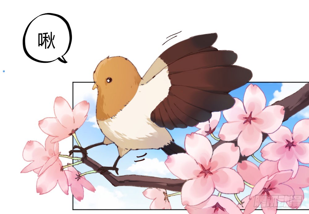 章节图片
