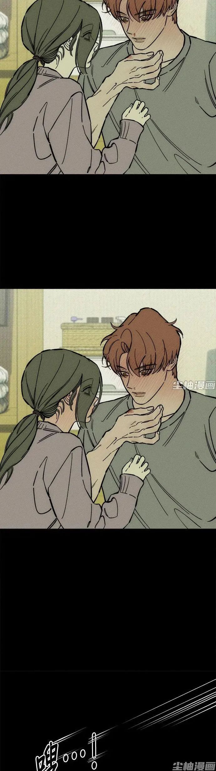 章节图片