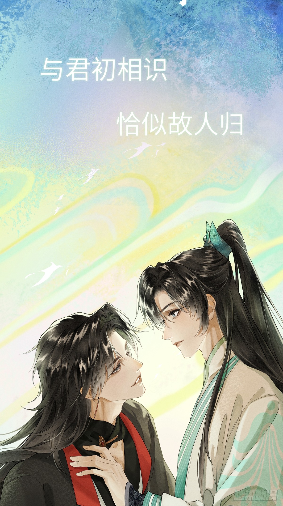 章节图片
