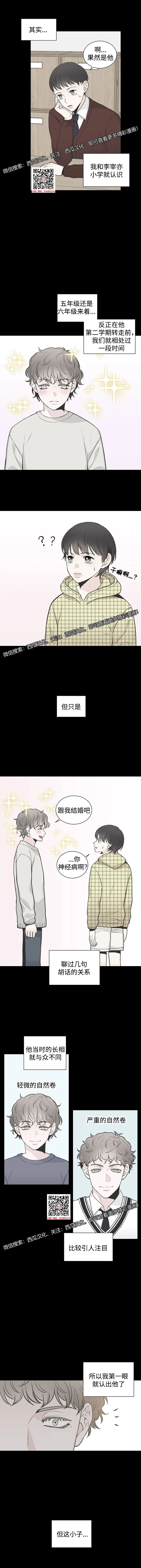 章节图片