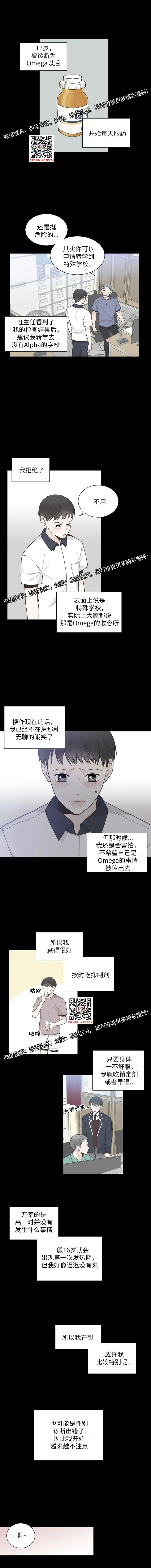 章节图片