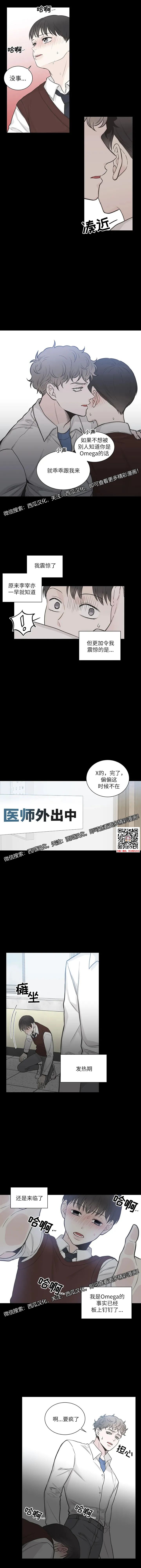 章节图片