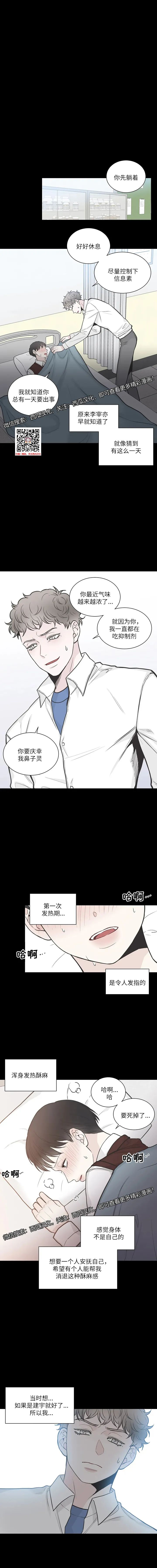 章节图片