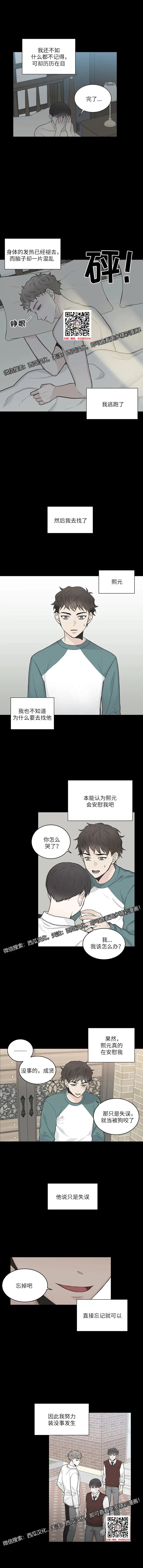 章节图片