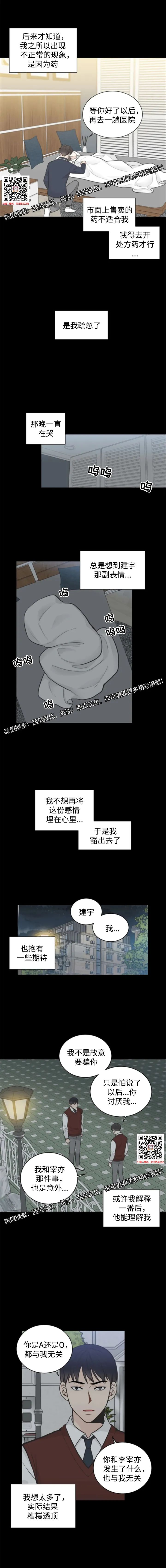 章节图片