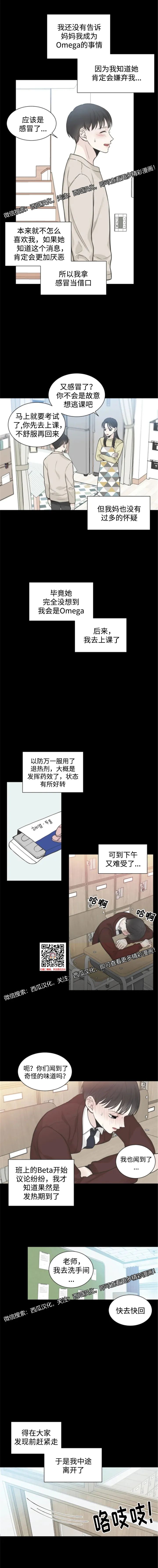 章节图片