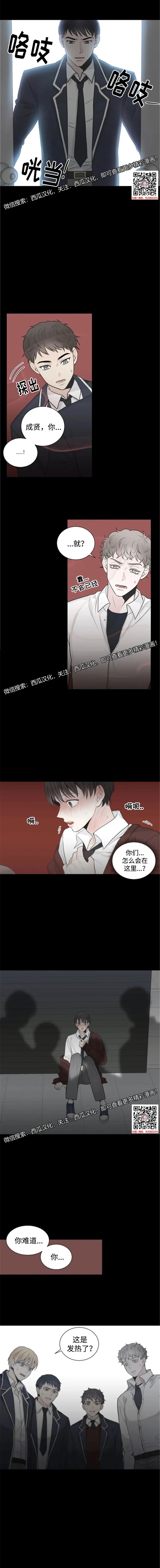 章节图片