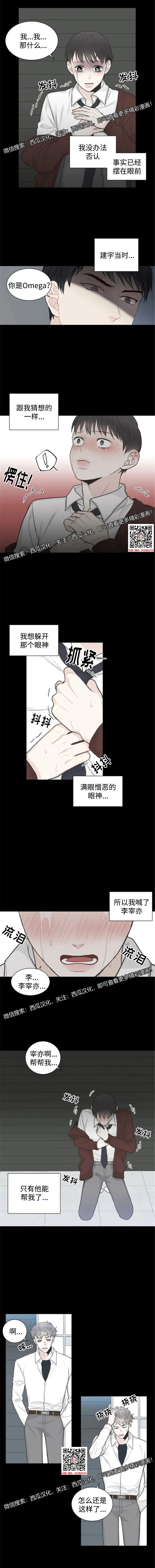 章节图片