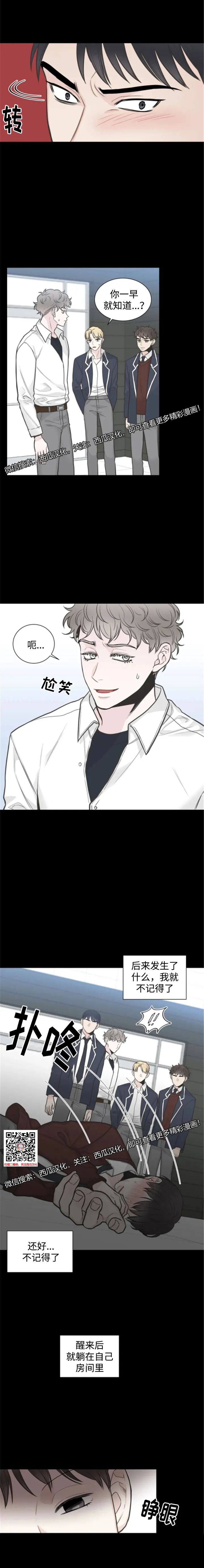 章节图片