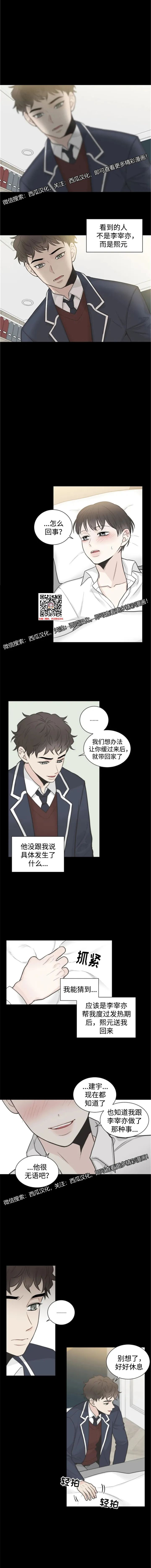 章节图片