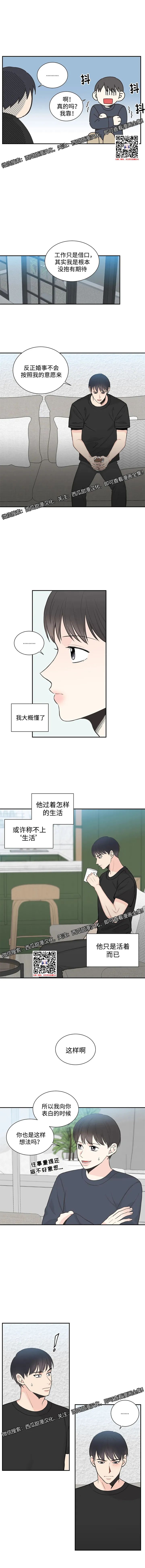 章节图片