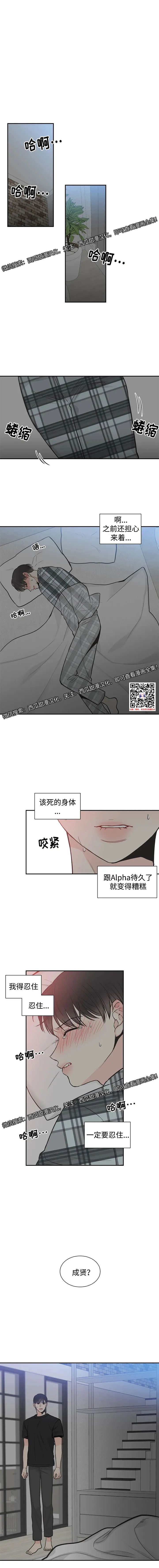 章节图片