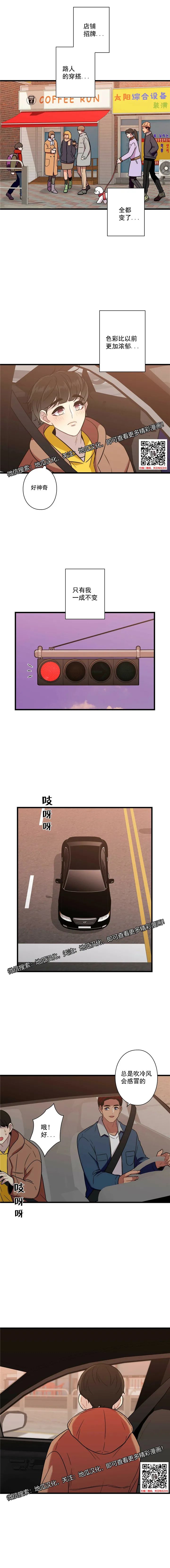 章节图片