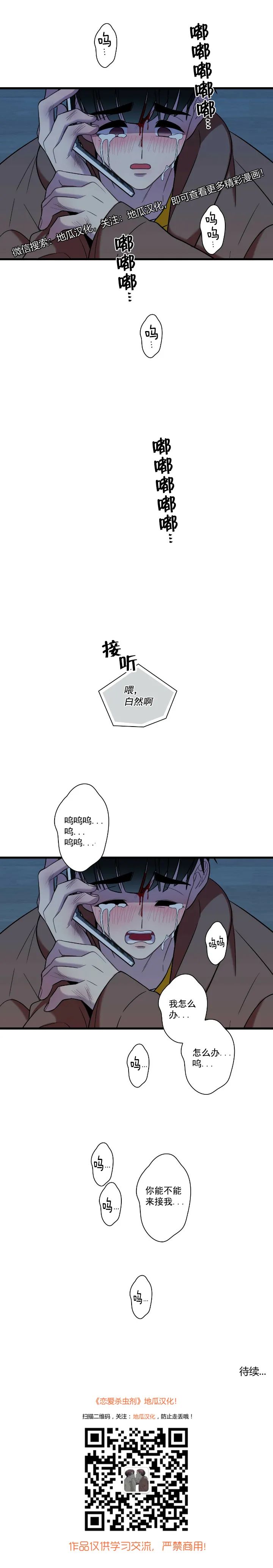 章节图片