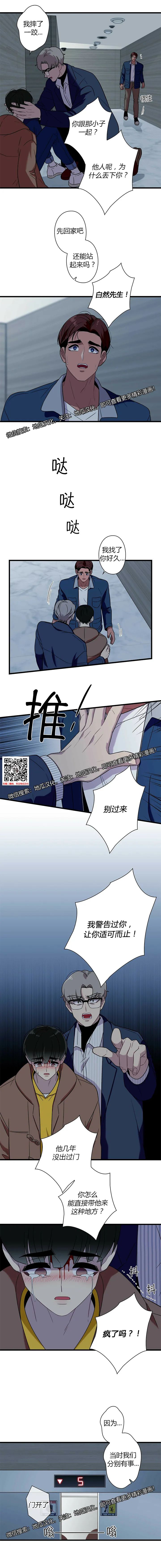 章节图片
