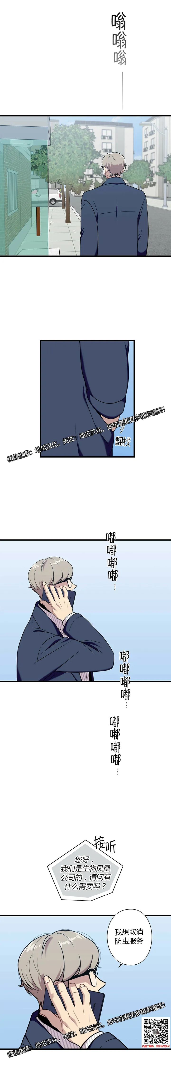 章节图片