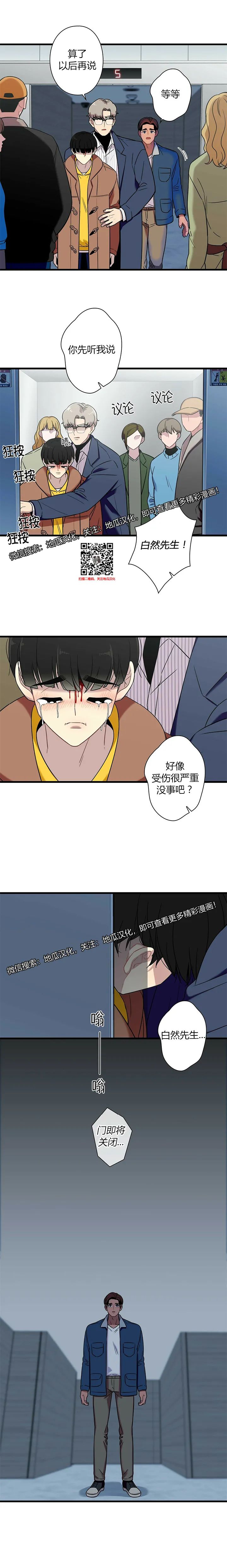 章节图片