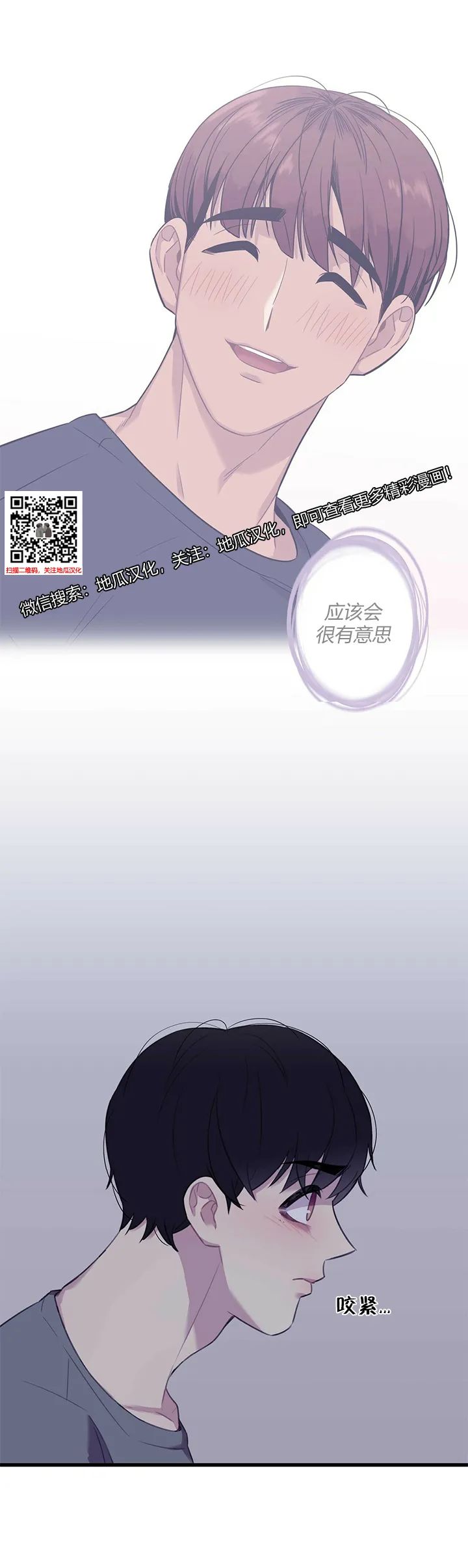 章节图片