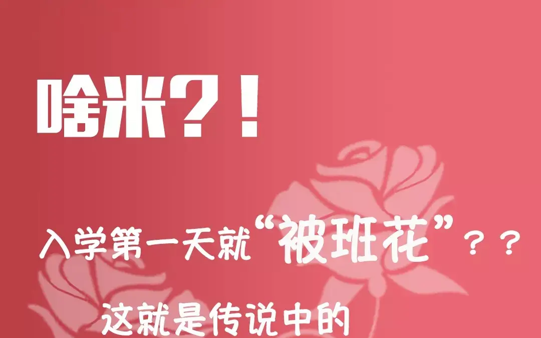 章节图片