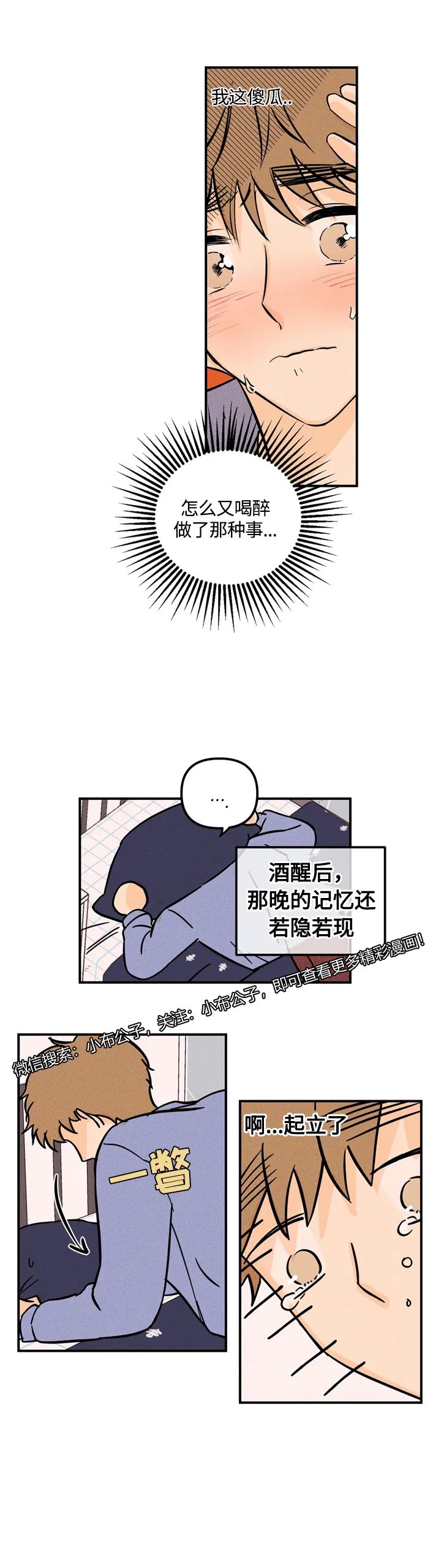 章节图片