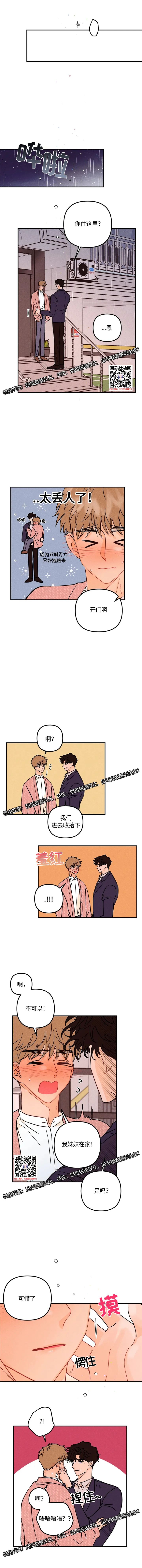 章节图片