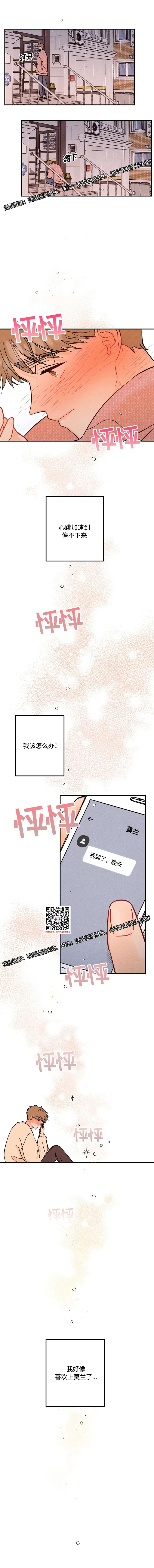 章节图片