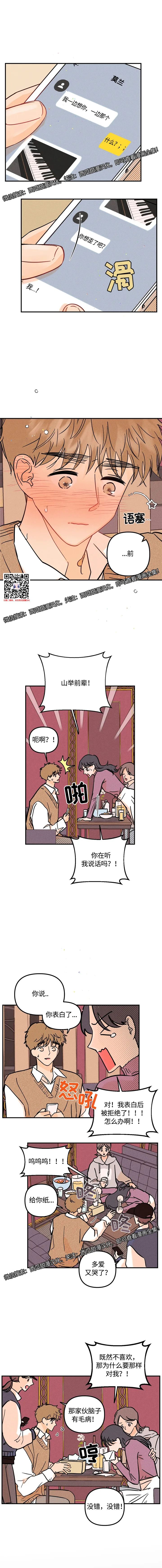 章节图片