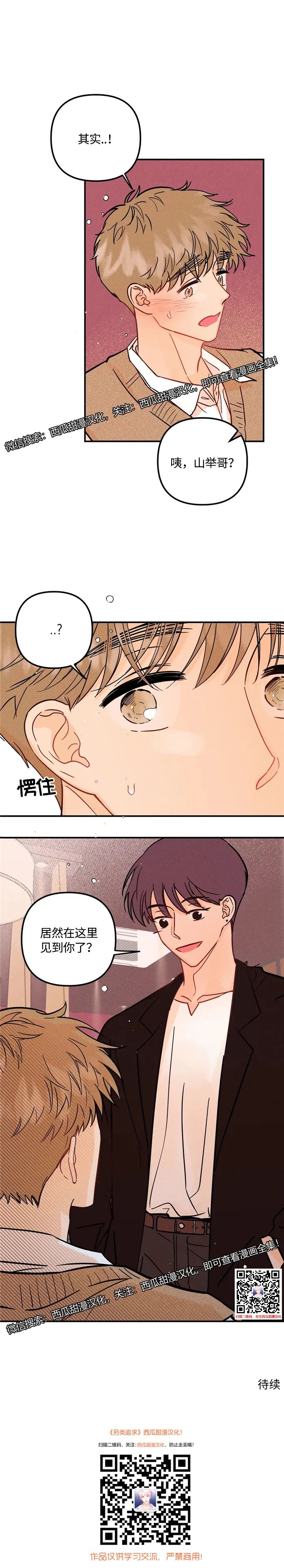 章节图片
