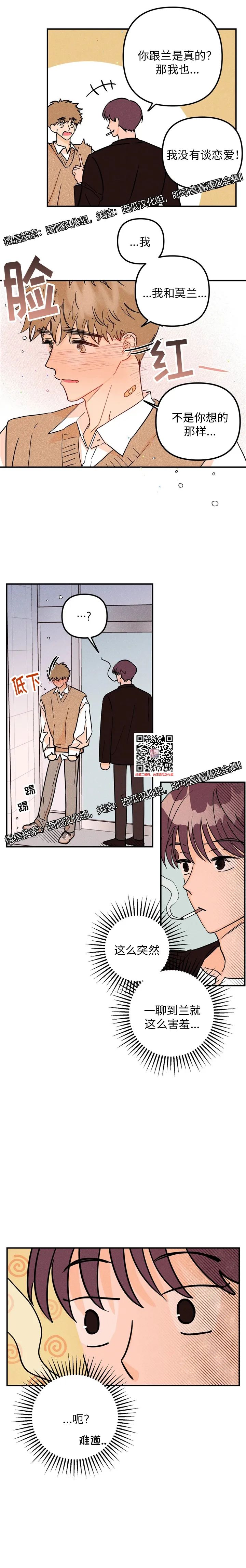 章节图片