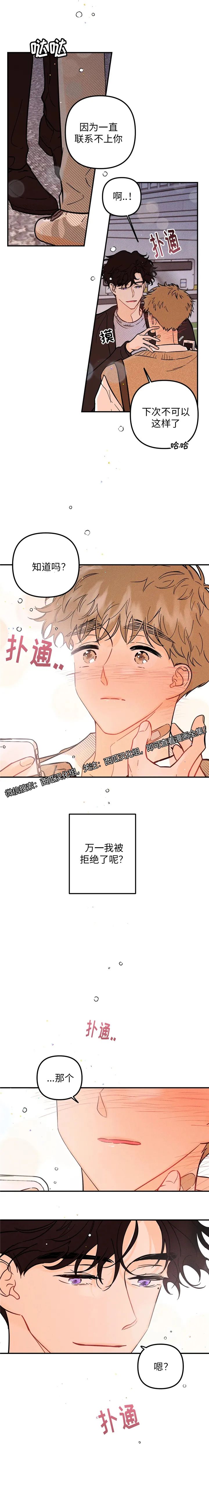 章节图片