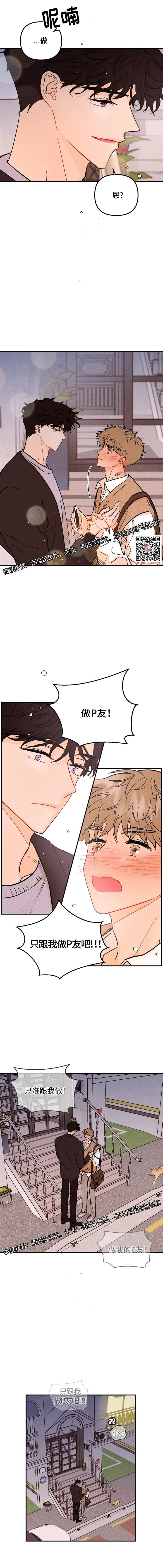 章节图片
