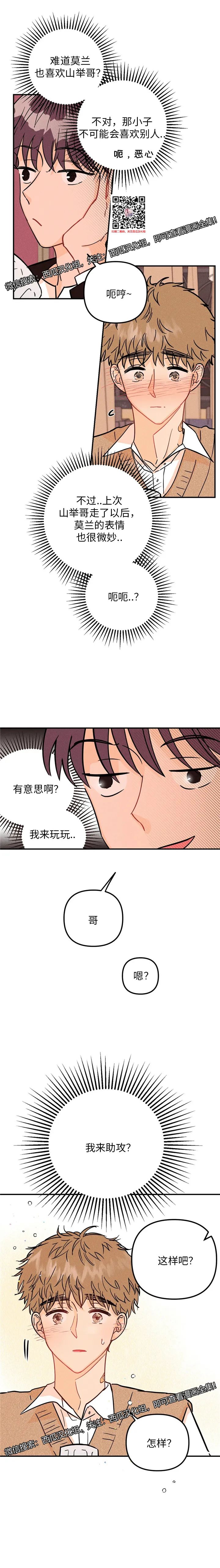 章节图片