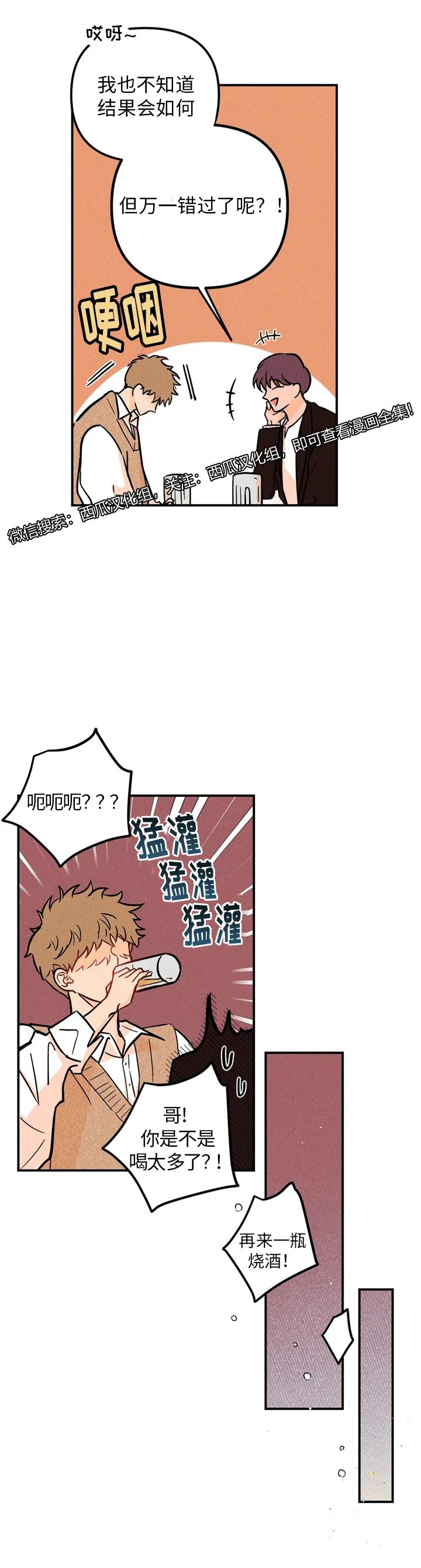 章节图片