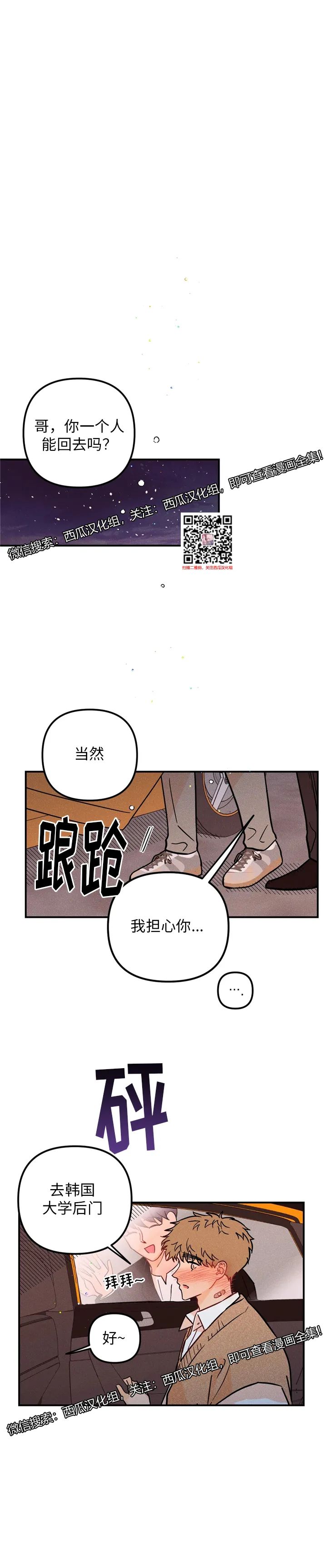 章节图片