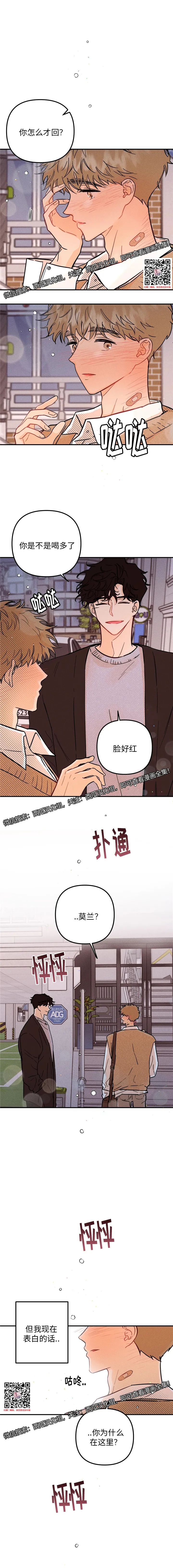 章节图片