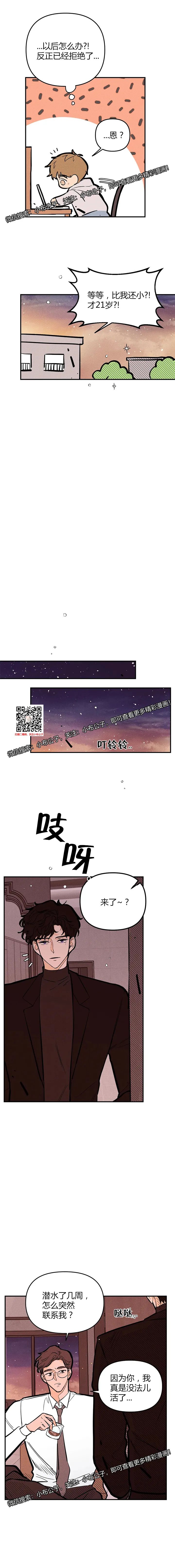 章节图片