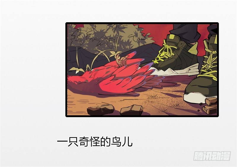 章节图片