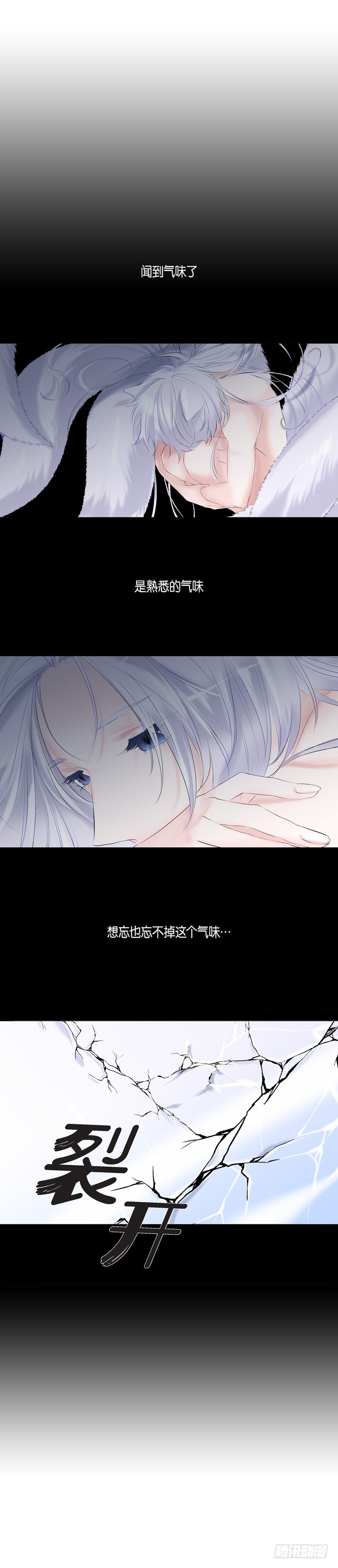 章节图片