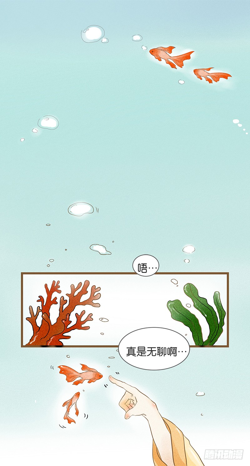 章节图片