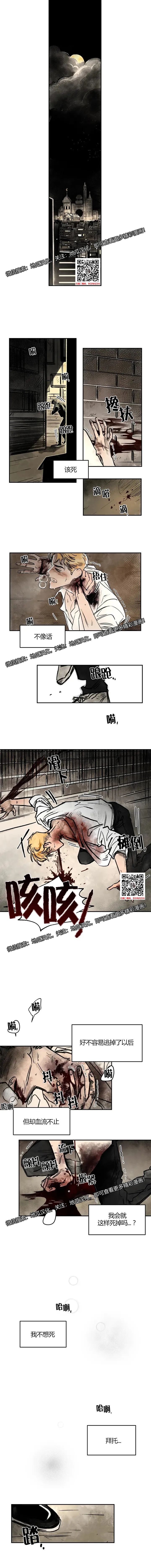 章节图片
