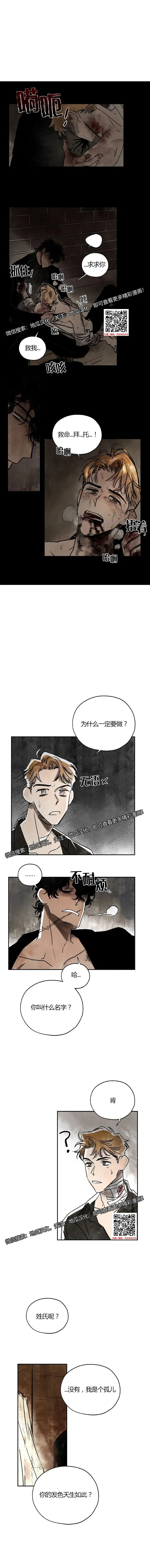 章节图片