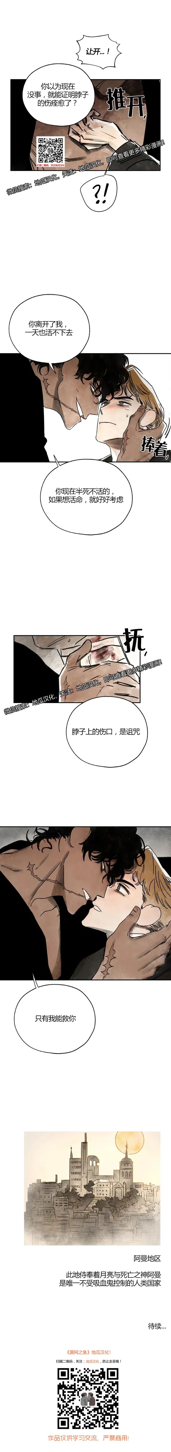 章节图片