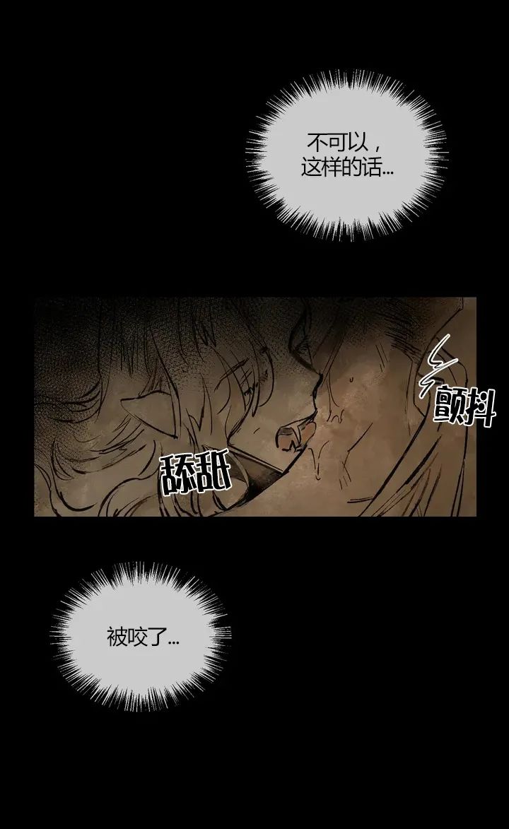 章节图片