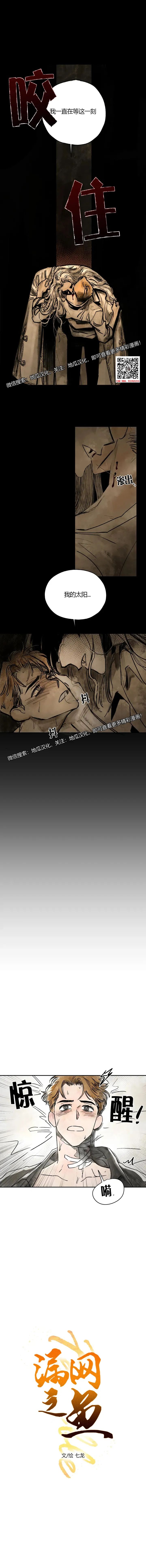 章节图片