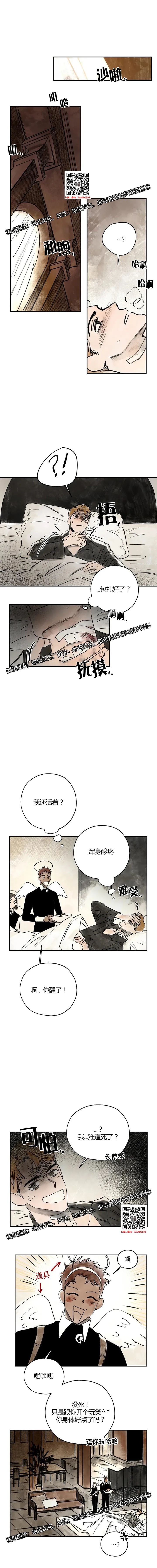 章节图片