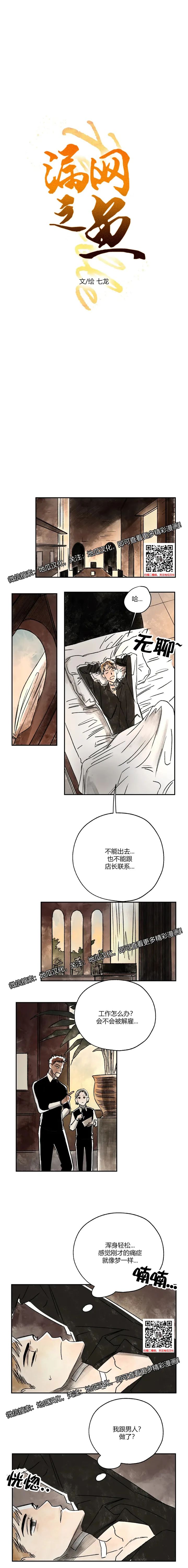 章节图片