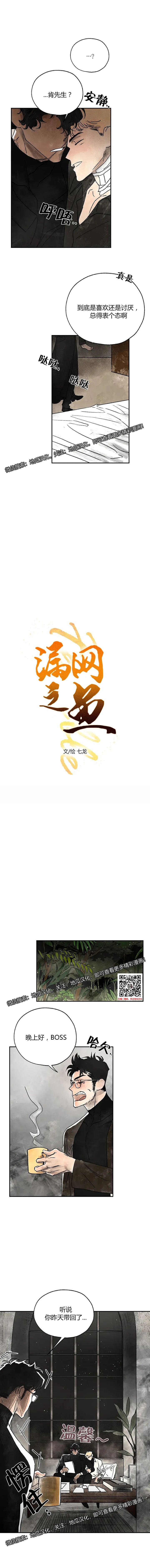 章节图片
