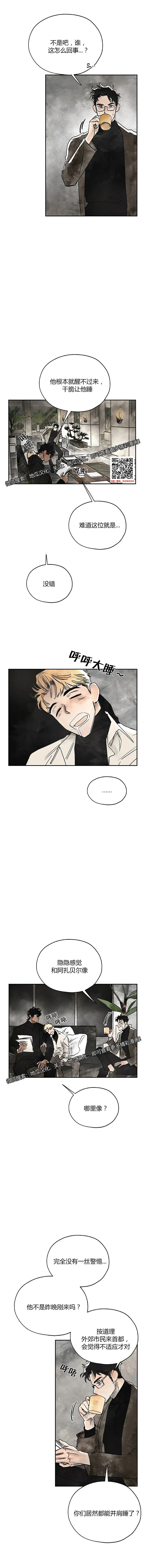 章节图片